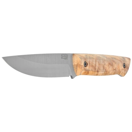 Nóż Za-Pas Ranger V1 Ash Wood, Satin 80CrV2 (RNG-J-NCV)
