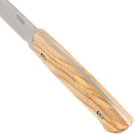 Nóż Za-Pas Explorer Ash Wood, Satin X50CrMoV15 (EPL-J-X50)