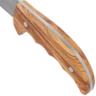 Muela Outdoor-12.OL Knife Olive Wood, Satin X50CrMoV15