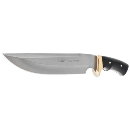 Nóż Muela Corzo-22 Beech Wood, Satin X50CrMoV15