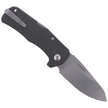 LionSteel TM1 Carbon Fiber, Satin Sleipner by Molletta (TM1 CS)