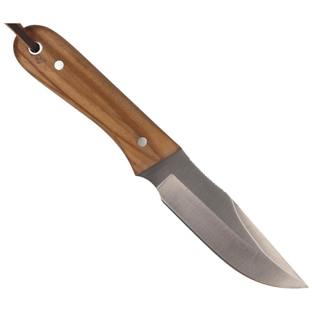 Muela Bison-9.OL Olive Wood Knife, Satin X50CrMoV15