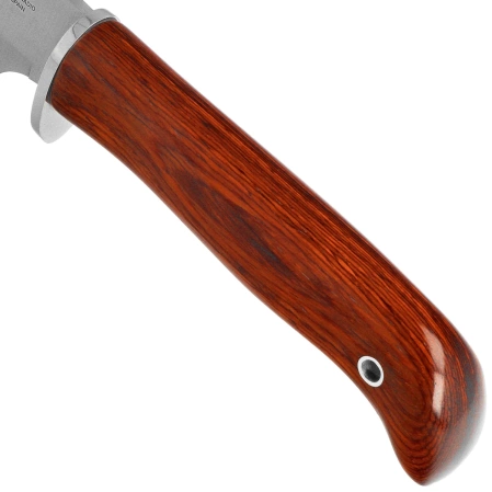 Nóż Muela Piranha-8R Coral Pakka Wood, Satin X50CrMoV15