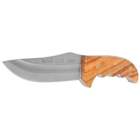 Nóż Muela Azor-13OL Olive Wood, Satin X50CrMoV15