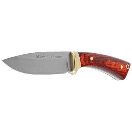 Nóż Muela Colibri COL-9M Pakka Wood, Satin X50CrMoV15