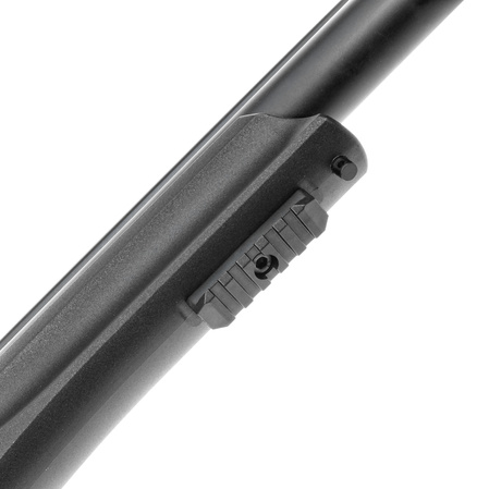 Reximex Daystar RG 4.5mm PCP Air Rifle with Regulator