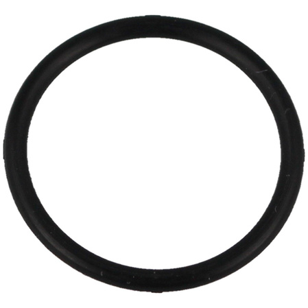 O-Ring 21*2 for PCP Hatsan Hand Pump (53)